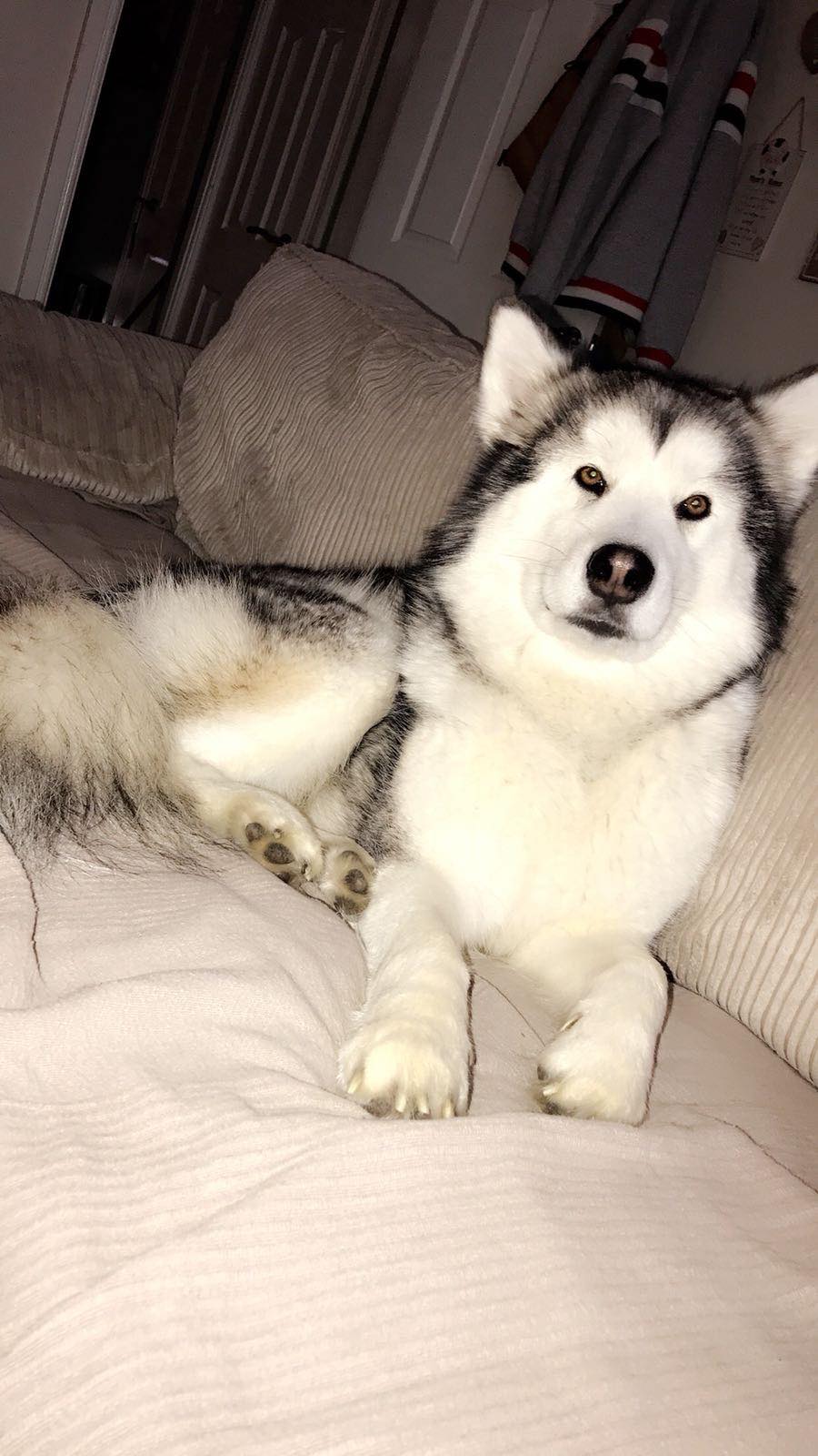 Mishka